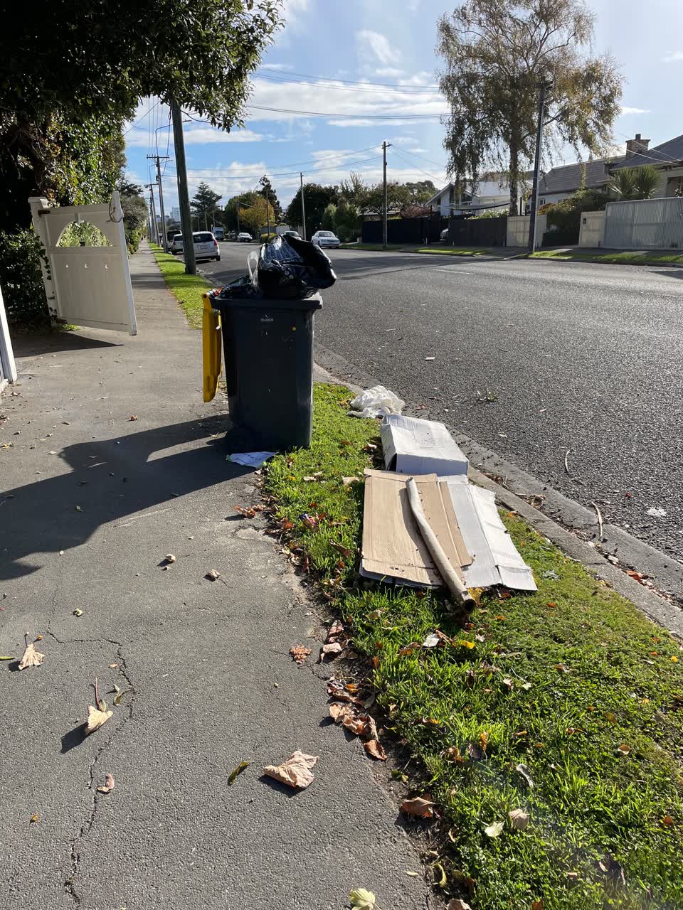 The photograph attached to this rubbish/recycling report