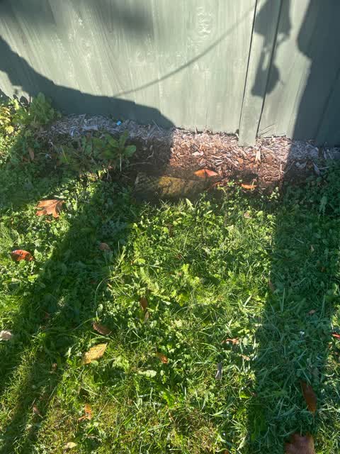 Water Leak, a report photo