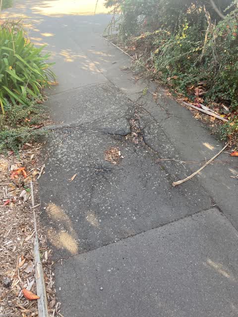 Roading/Streets, a report photo