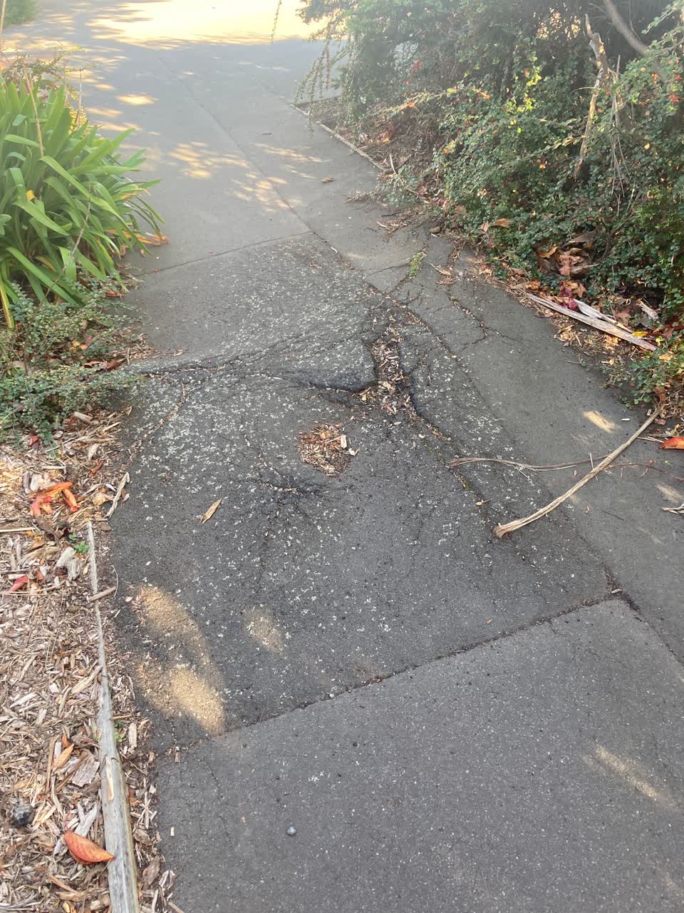 The photograph attached to this roading/streets report
