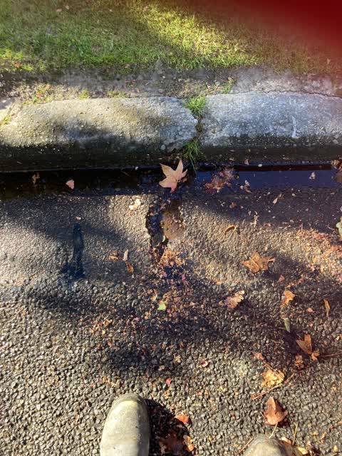 Roading/Streets, a report photo
