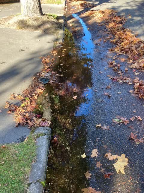 Roading/Streets, a report photo