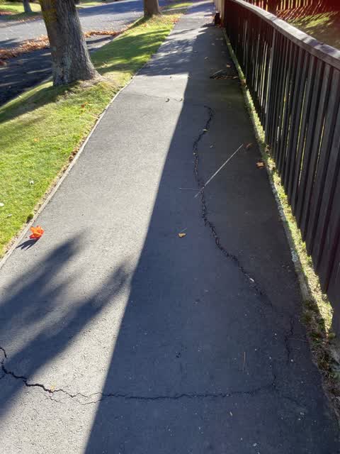 Roading/Streets, a report photo