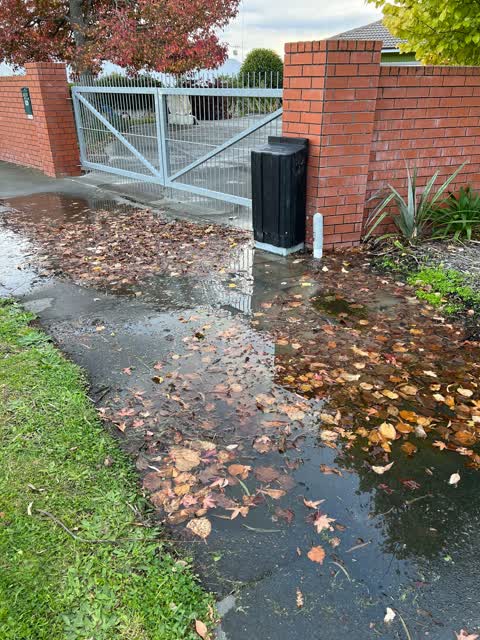 Water Leak, a report photo