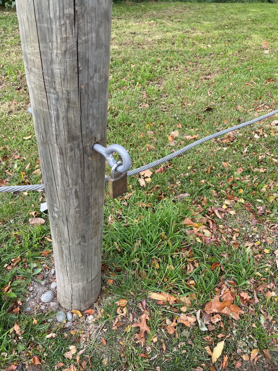 The photograph attached to this parks report