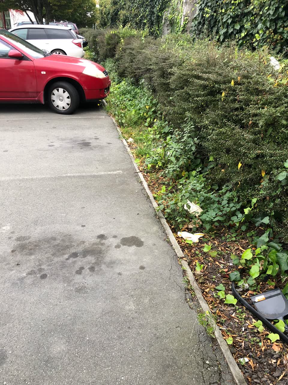 The photograph attached to this parks report