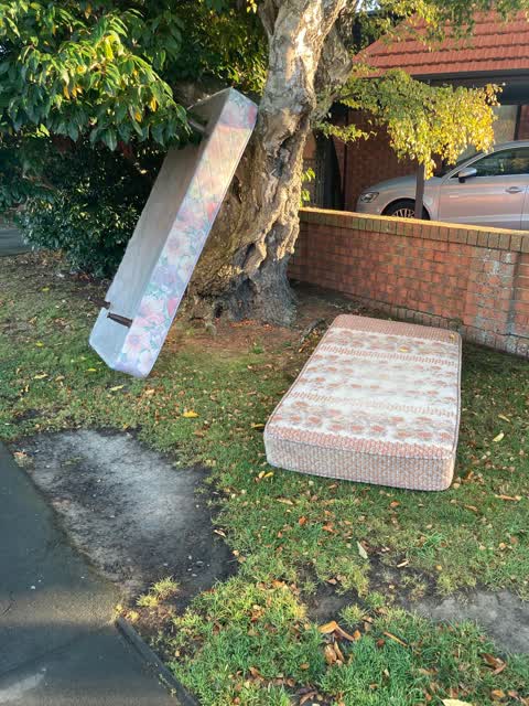 Rubbish/Recycling, a report photo