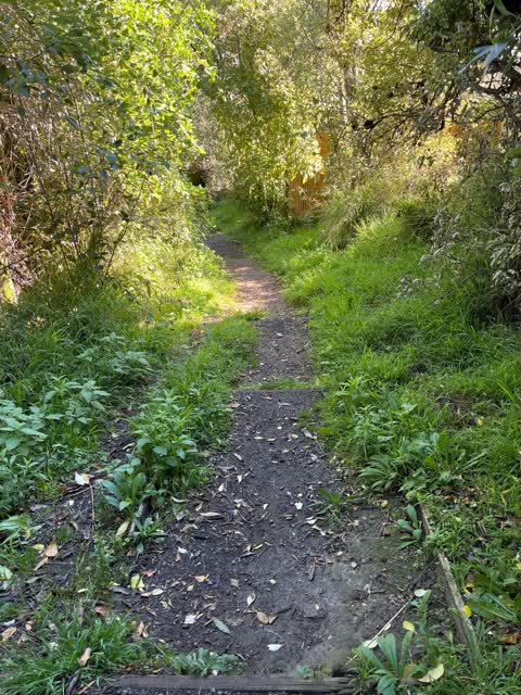 Roading/Streets, a report photo