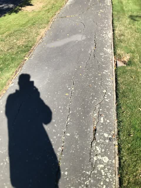 Roading/Streets, a report photo