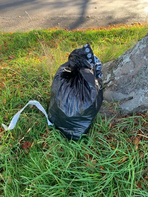 Rubbish/Recycling — a report photo