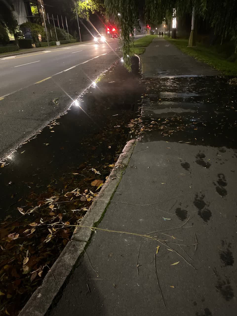 The photograph attached to this water leak report
