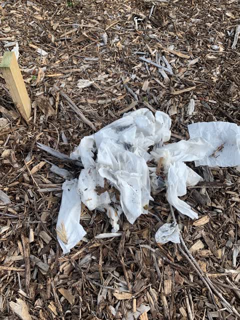 Rubbish/Recycling — a report photo