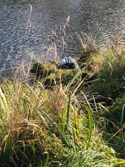Rubbish/Recycling, a report photo