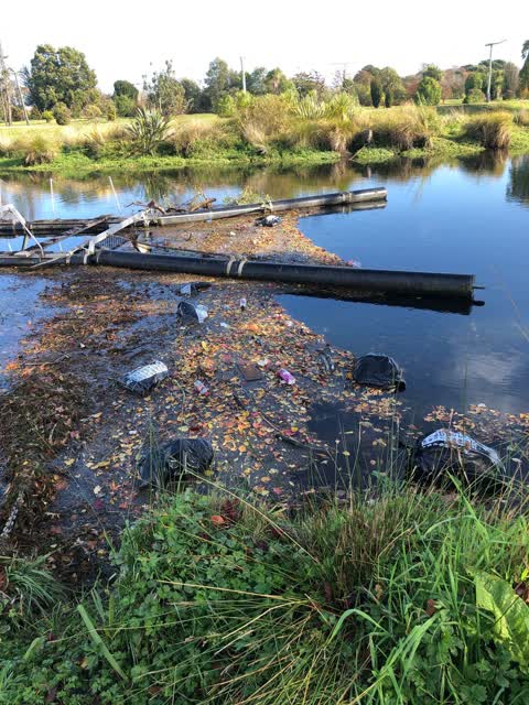 Rubbish/Recycling, a report photo