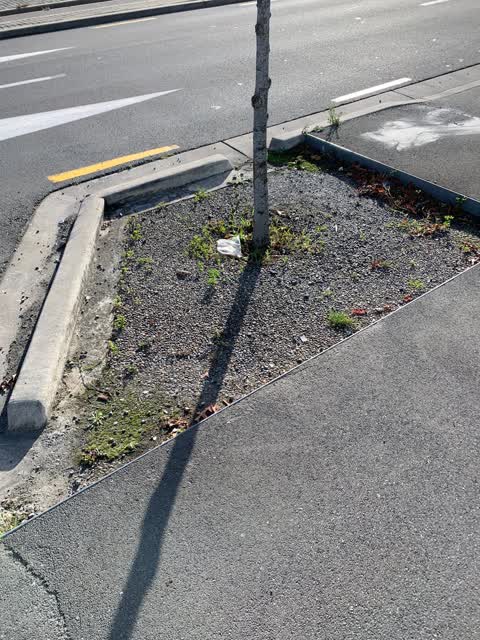 Roading/Streets — a report photo