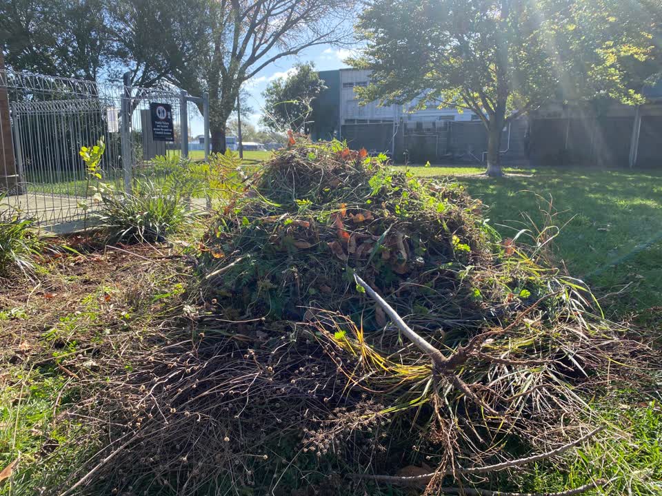 The photograph attached to this parks report