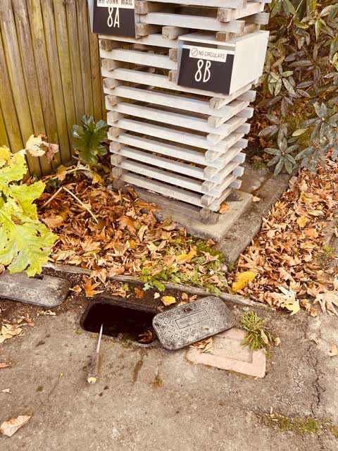 Water Leak, a report photo