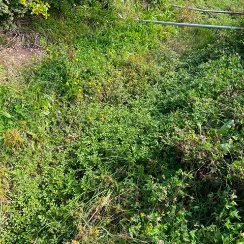 Flooding, a report photo