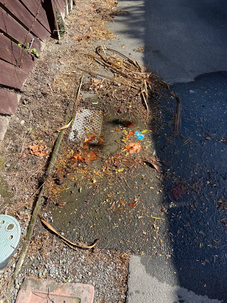 The photograph attached to this water supply report