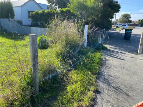Parks, a report photo