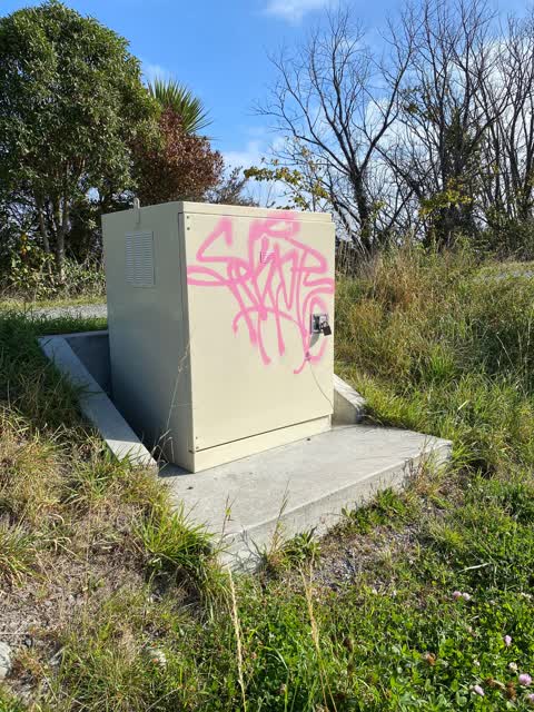 Graffiti — a report photo