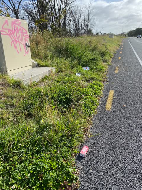 Rubbish/Recycling — a report photo