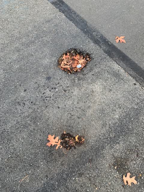 Roading/Streets, a report photo