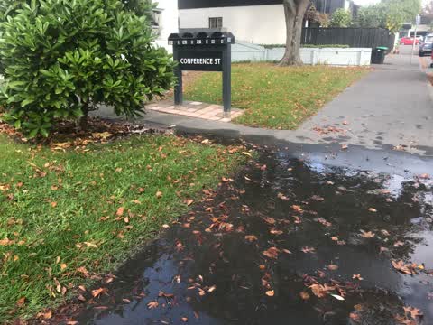 Water Leak, a report photo