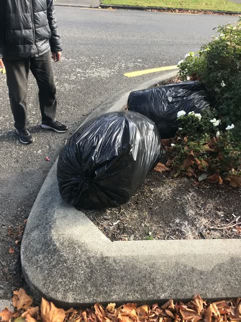 Rubbish/Recycling, a report photo