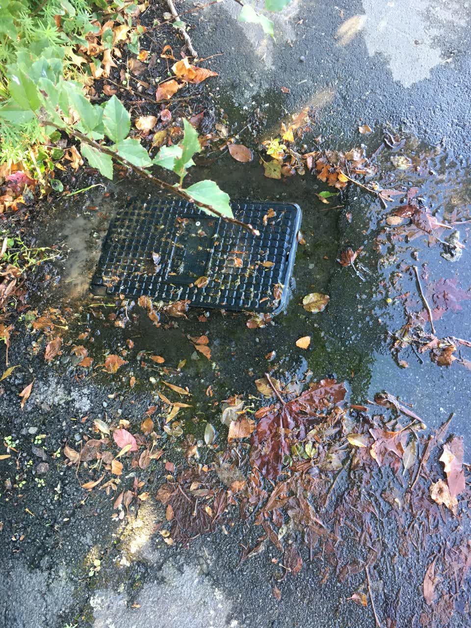 The photograph attached to this sewer - leak / blockage report