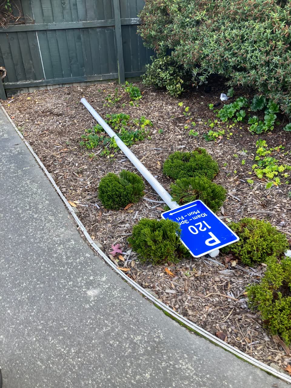 The photograph attached to this parks report