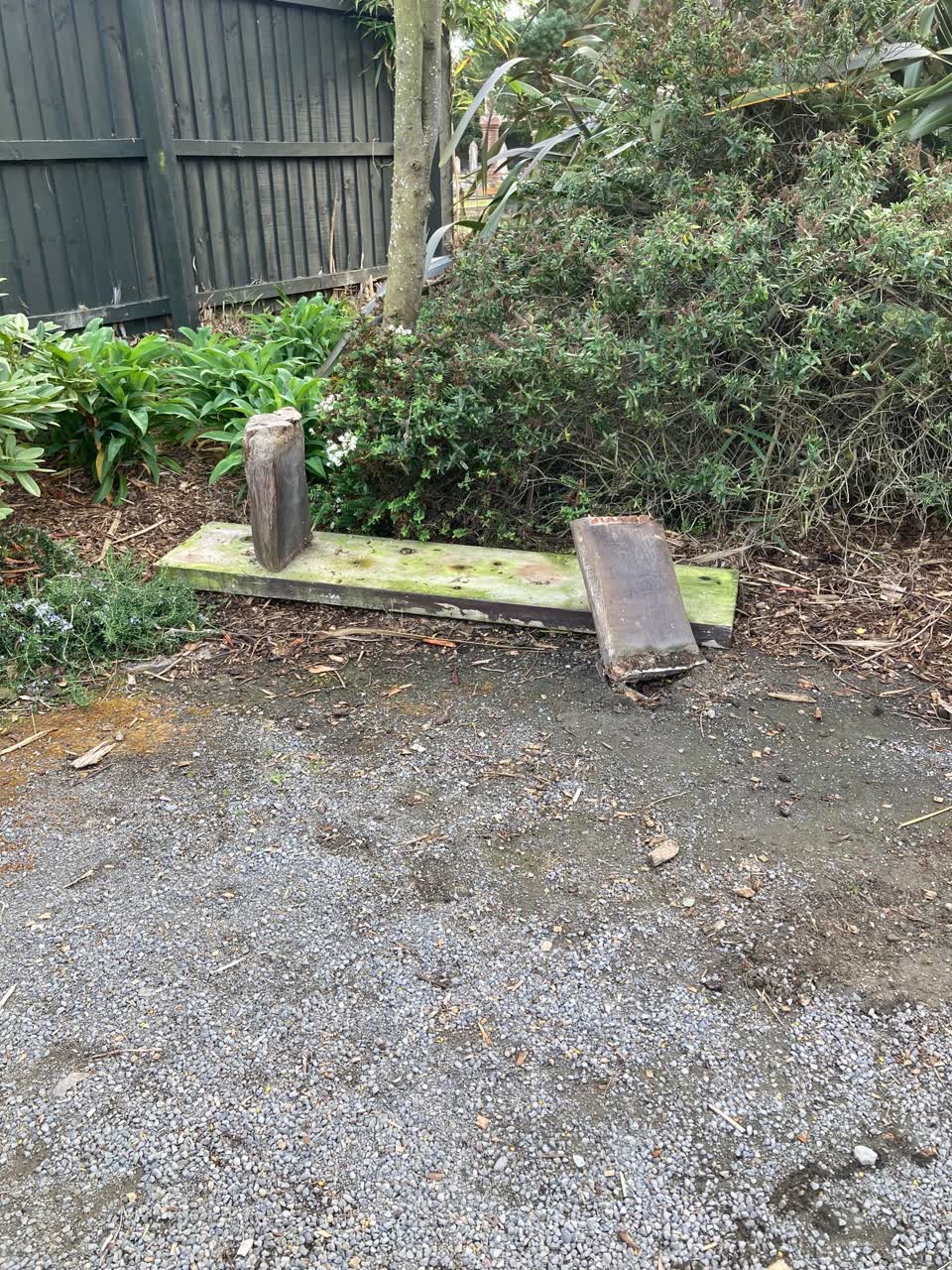 The photograph attached to this parks report