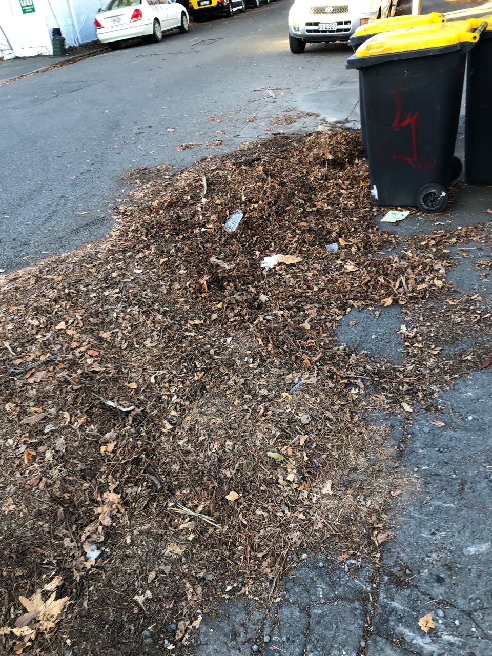 The photograph attached to this roading/streets report