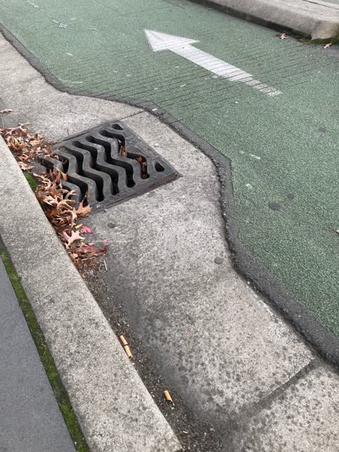 Roading/Streets, a report photo