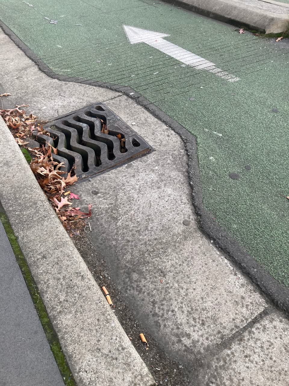 The photograph attached to this roading/streets report