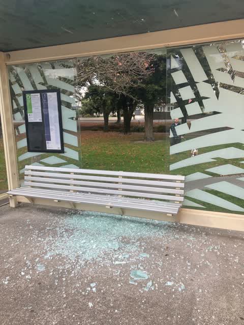 Parks, a report photo