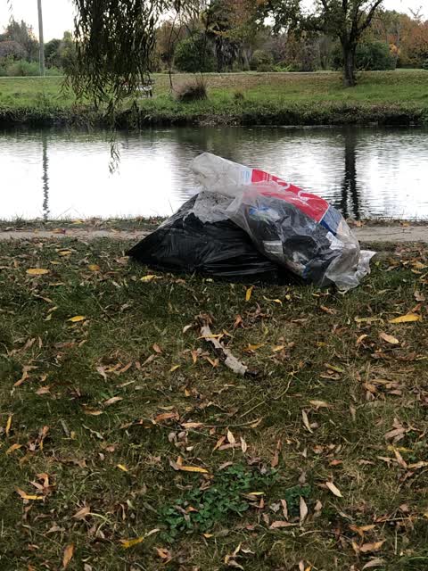 Rubbish/Recycling, a report photo