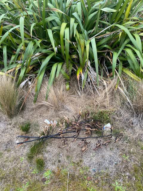 Parks — a report photo
