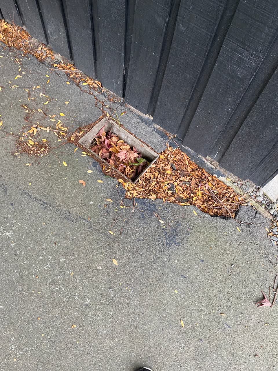 The photograph attached to this water supply report