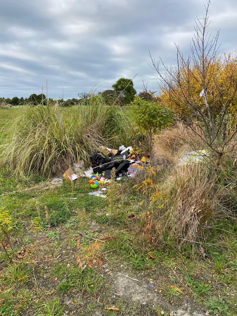 The photograph attached to this parks report