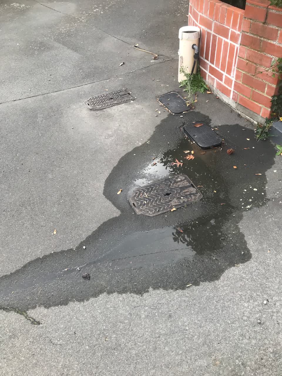 The photograph attached to this water leak report