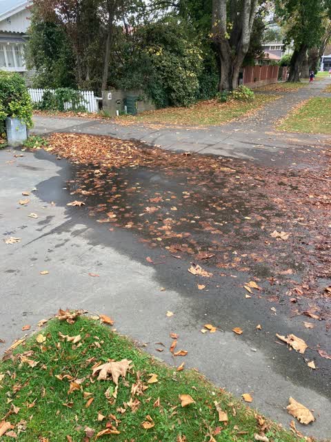 Water Leak, a report photo