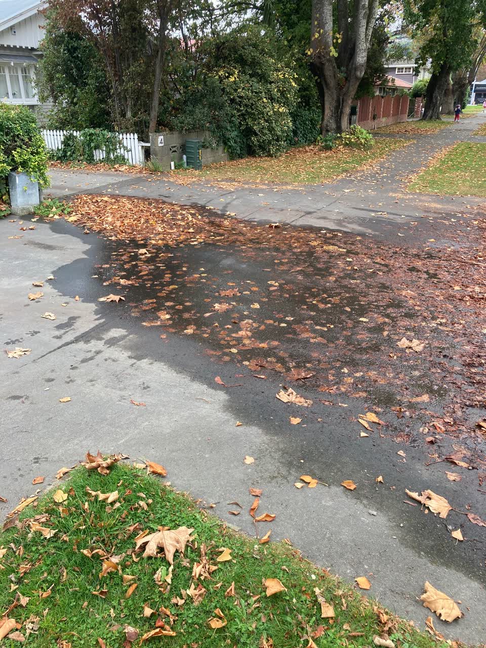 The photograph attached to this water leak report