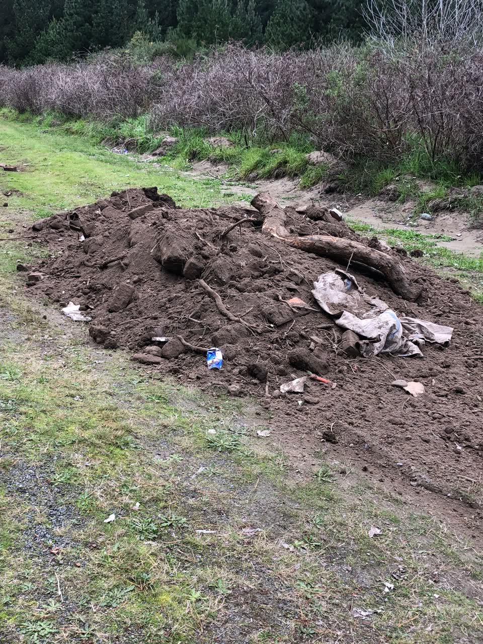The photograph attached to this rubbish/recycling report