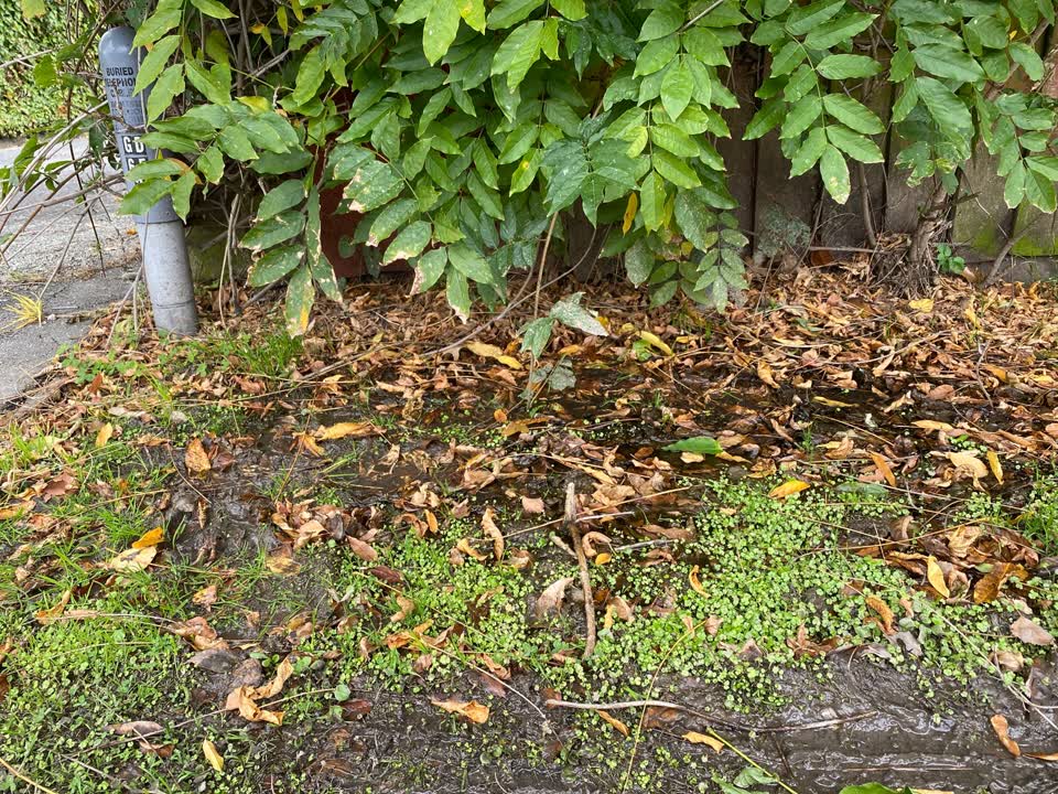 The photograph attached to this water leak report