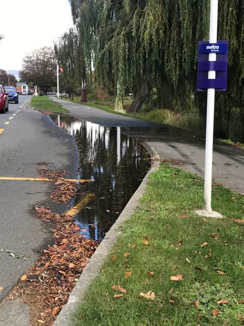 Sewer - Leak / Blockage, a report photo