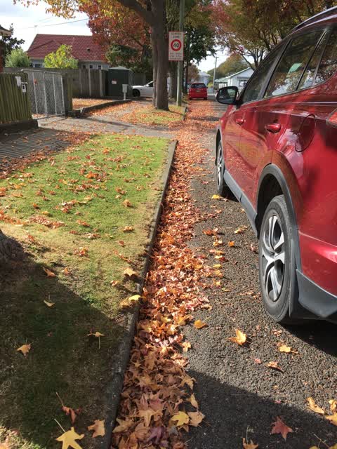 Roading/Streets, a report photo