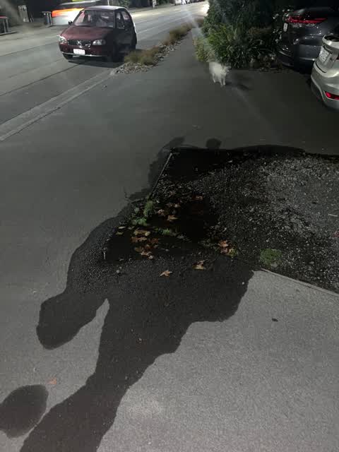 Water Leak, a report photo