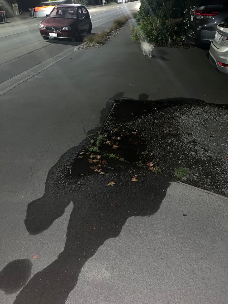 The photograph attached to this water leak report