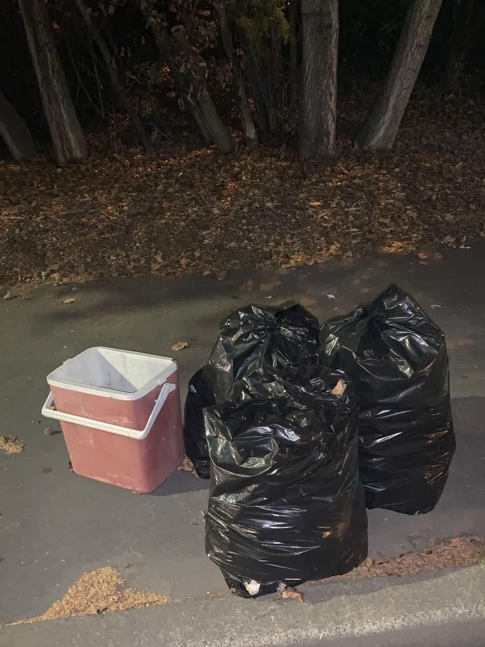 The photograph attached to this rubbish/recycling report